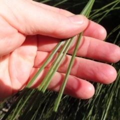 Unidentified at suppressed - 24 May 2023