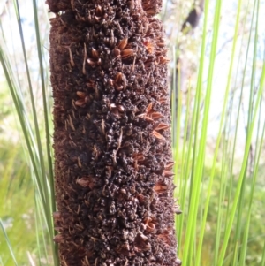Unidentified at suppressed - 24 May 2023