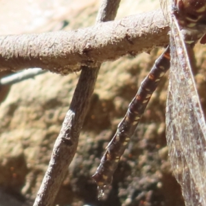 Unidentified at suppressed - 24 May 2023