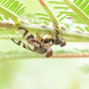 Unidentified at suppressed - 3 Apr 2023