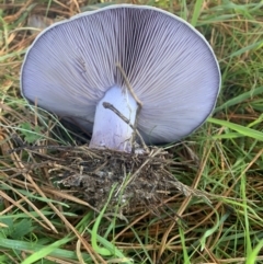 Unidentified at suppressed - 23 May 2023