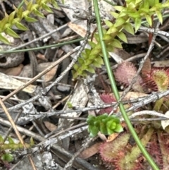 Unverified at suppressed - suppressed