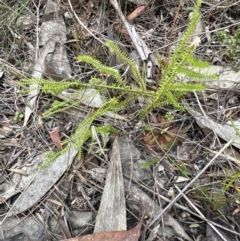 Unverified at suppressed - suppressed