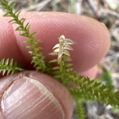 Unverified at suppressed - suppressed