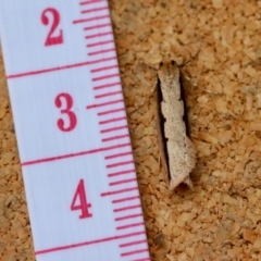 Unidentified at suppressed - 22 Jun 2023