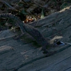 Unidentified at suppressed - 21 Jun 2023