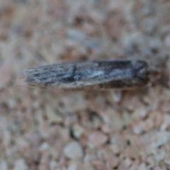 Unidentified at suppressed - 24 Jun 2023