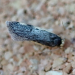 Unverified at suppressed - suppressed