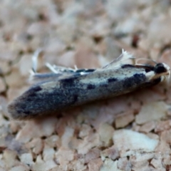 Unverified at suppressed - suppressed