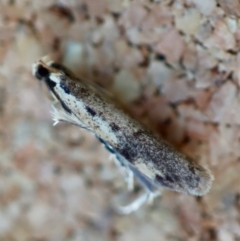 Unverified at suppressed - suppressed