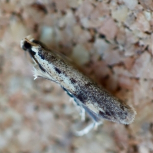 Unverified at suppressed - suppressed