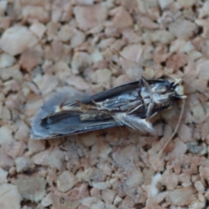 Unverified at suppressed - suppressed