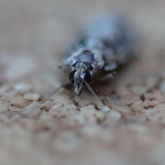 Unverified at suppressed - suppressed