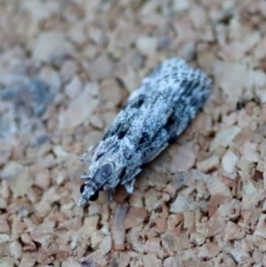 Unverified at suppressed - suppressed