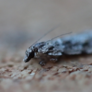 Unverified at suppressed - suppressed