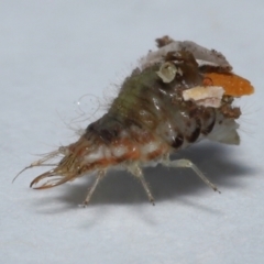 Unverified at suppressed - suppressed