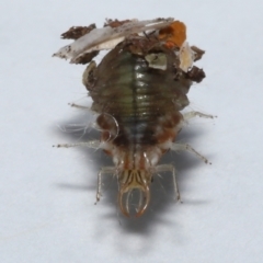 Unverified at suppressed - suppressed