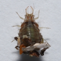 Unverified at suppressed - suppressed