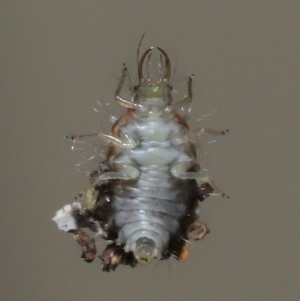 Unverified at suppressed - suppressed