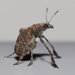 Unverified at suppressed - suppressed