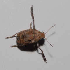 Unverified at suppressed - suppressed