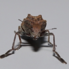 Unverified at suppressed - suppressed