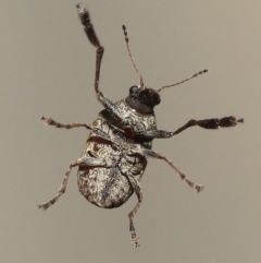 Unverified at suppressed - suppressed