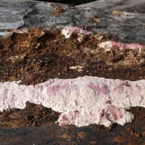 Unverified at suppressed - suppressed