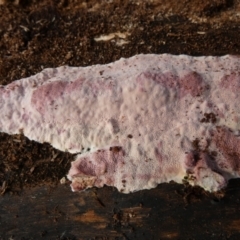 Unverified at suppressed - suppressed