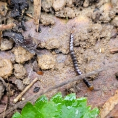 Unverified at suppressed - suppressed