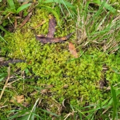 Unverified at suppressed - suppressed