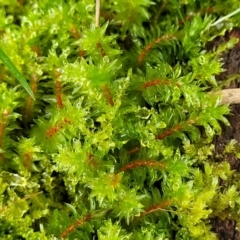 Unverified at suppressed - suppressed