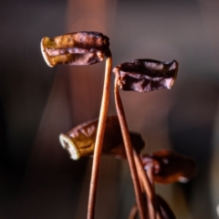 Unverified at suppressed - suppressed