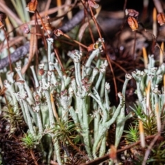 Unverified at suppressed - suppressed