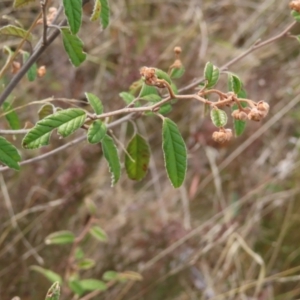 Unidentified at suppressed - 14 Jul 2023