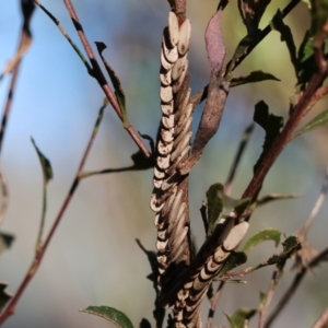 Unidentified at suppressed - 16 Jul 2023