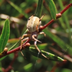 Unidentified at suppressed - 15 Jan 2022