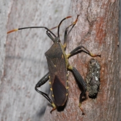 Unidentified at suppressed - 15 Jul 2023