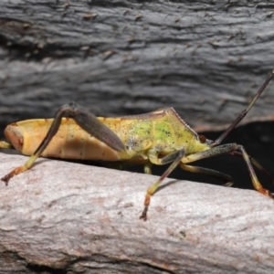 Unidentified at suppressed - 15 Jul 2023