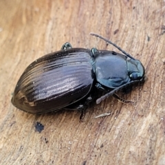 Unverified at suppressed - suppressed