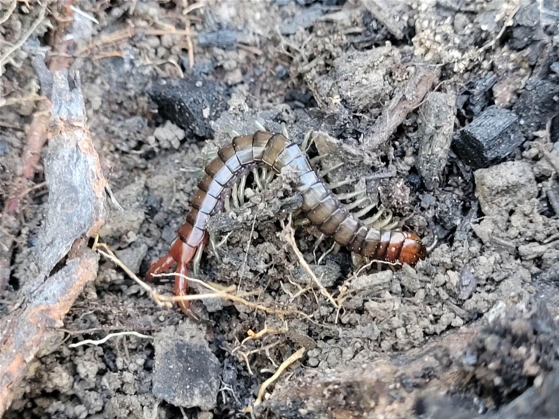 Unverified at suppressed - suppressed