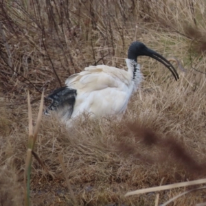 Unidentified at suppressed - 21 Jul 2023