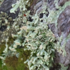 Unverified at suppressed - suppressed