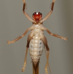 Unverified at suppressed - suppressed