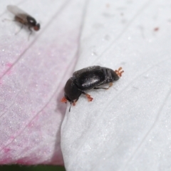 Unverified at suppressed - suppressed