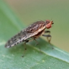 Unverified at suppressed - suppressed