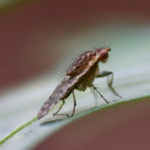 Unverified at suppressed - suppressed