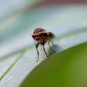 Unverified at suppressed - suppressed