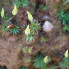 Unverified at suppressed - suppressed