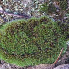 Unverified at suppressed - suppressed